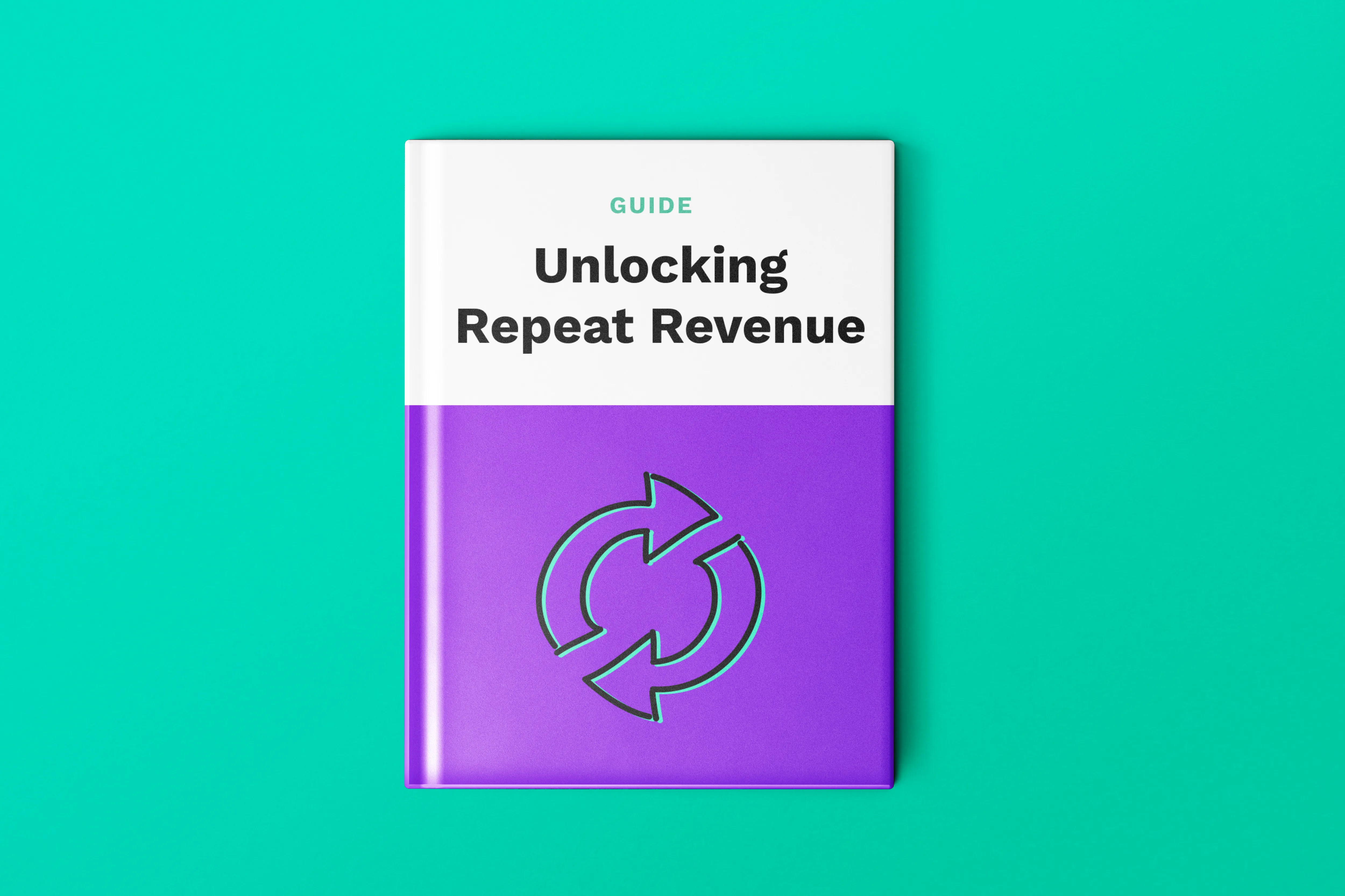 Unlocking Repeat Revenue guide cover