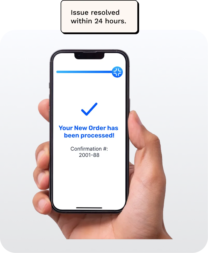 Issue resolved within 24 hours: new order processed